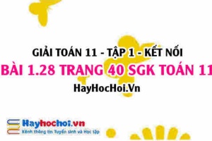 Giải bài 1.28 trang 40 Toán 11 tập 1 SGK Kết nối tri thức